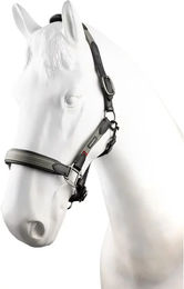 Produktbild von Vertigo Lederhalfter Lennox für Ponys in Grau oder Schwarz