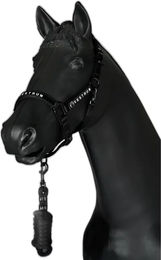 Produktbild von Vestrum Halfter und Reitlonge Set aus Nylon in Schwarz für Pferde