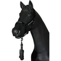 Produktbild von Vestrum Halfter und Reitlonge Set aus Nylon in Schwarz für Pferde