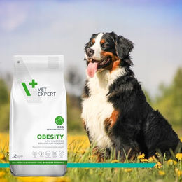 Vet Expert Obesity Hund Diätfutter zur Gewichtskontrolle mit Gelenk-Supplement und Probiotika 12kg - 12 kg – Bild 1 von 3
