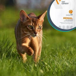 Vet Expert Renal Nassfutter für Katzen Adult Diätfutter 100g – Bild 1 von 4