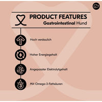 Produktbild von Vetality Gastrointestinal Diätfutter für Hunde zur Unterstützung der Magen-Darm-Verdauung 3 x 3 kg