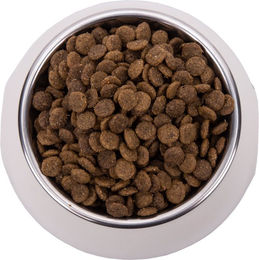 Vetality Urinary Diätfutter für erwachsene Katzen 2kg – Bild 1 von 2