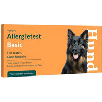 Produktbild von vetevo Allergietest Basic für Hunde