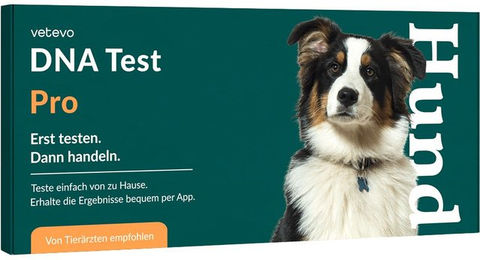 vetevo DNA Test zur Rassebestimmung für Hunde nach FCI-Standard – Bild 1 von 3