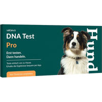 Produktbild von vetevo DNA Test zur Rassebestimmung für Hunde nach FCI-Standard