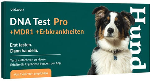 vetevo DNA Test zur Rassebestimmung und Analyse von MDR1 sowie Erbkrankheiten für Hunde – Bild 1 von 4