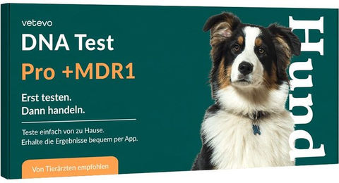 vetevo DNA Test zur Rassebestimmung und MDR1 Untersuchung für Hunde aller Größen – Bild 1 von 3