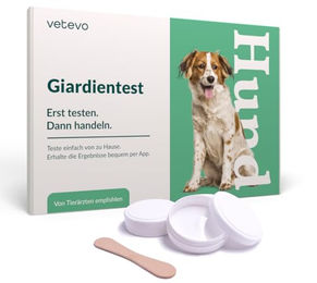 vetevo Giardientest für Hunde zur Untersuchung von Durchfall, Gewichtsverlust und Appetitlosigkeit – Bild 1 von 2
