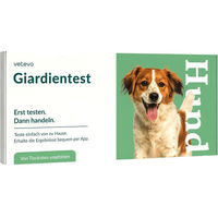 Produktbild von vetevo Giardientest für Hunde aller Altersstufen