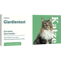 Produktbild von vetevo Giardientest für Katzen