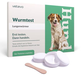 vetevo Lungenwurmtest für Hunde bei Husten, Müdigkeit und Nasenausfluss – Bild 1 von 3