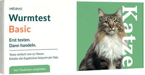 Vetevo Wurmtest Basic für Katzen zur Magen-Darm-Diagnose – Bild 1 von 2