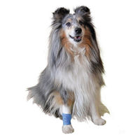 Produktbild von Vetlando Heimtierpflaster aus Schaumstoff in Blau für Hunde und Katzen