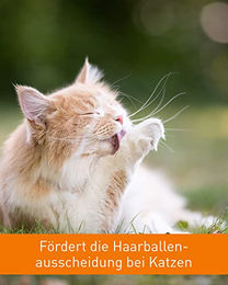 Vetoquinol Bezo-Pet Paste zur Förderung der Haarballenausscheidung für Katzen mit Malz 120g - 120 g – Bild 1 von 6