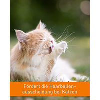 Produktbild von Vetoquinol Bezo-Pet Paste zur Förderung der Haarballenausscheidung für Katzen mit Malz 120g - 120 g