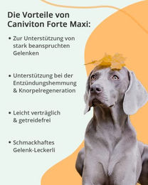 Vetoquinol Caniviton Plus Maxi Gelenk-Supplement für große Hunde 450g - 90 x 5 g – Bild 1 von 4
