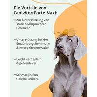 Produktbild von Vetoquinol Caniviton Plus Maxi Gelenk-Supplement für große Hunde 450g - 90 x 5 g