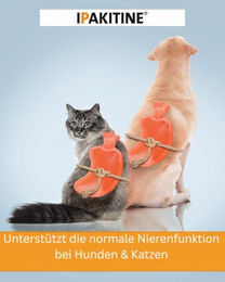 Vetoquinol Ipakitine Pulver 180 g zur Unterstützung der Nierenfunktion für Hunde und Katzen - 180 g – Bild 1 von 5