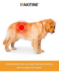 Vetoquinol Ipakitine Pulver zur Unterstützung der Nierenfunktion für Hunde und Katzen 300 g - 300 g – Bild 1 von 6