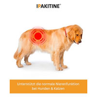 Produktbild von Vetoquinol Ipakitine Pulver zur Unterstützung der Nierenfunktion für Hunde und Katzen 300 g - 300 g
