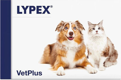 Vetplus Lypex Kapseln zur Unterstützung der Bauchspeicheldrüse für Hunde und Katzen – Bild 1 von 1