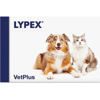 Produktbild von Vetplus Lypex Kapseln zur Unterstützung der Bauchspeicheldrüse für Hunde und Katzen