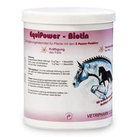 Produktbild von Vetripharm EquiPower Biotin Pulver für Pferde zur Unterstützung von Haut, Fell und Hufen 750g