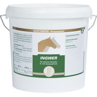 Produktbild von Vetripharm Equipower Ingwer 100% 2 kg