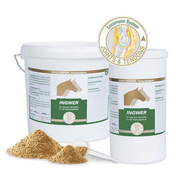 Vetripharm EquiPower Ingwer für Pferde zur Unterstützung der Gelenke 800 g - 800 g – Bild 1 von 4