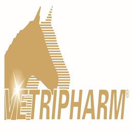 Vetripharm MSM Pulver für Pferde zur Unterstützung von Gelenken, Sehnen, Haut und Hufen 2 kg - 2 kg – Bild 1 von 6
