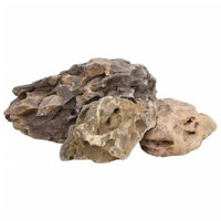 Produktbild von vidaXL Drachensteine Naturstein für Aquarium und Fischbecken Grau 10 kg - 10 kg