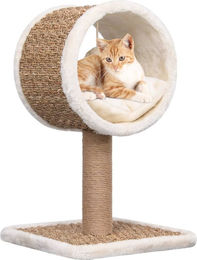 vidaXL Katzen-Kratzbaum aus Seegras mit Tunnel und Spielzeug in Beige 56 cm – Bild 1 von 1