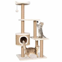 vidaXL Kratzbaum für Katzen aus Naturmaterialien in Beige 123 cm – Bild 1 von 3