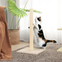Produktbild von vidaXL Kratzsäule für Katzen aus Plüsch und Sisal 35x35x70 cm