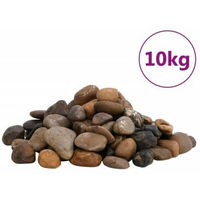 Produktbild von vidaXL Polierte Flusskiesel Mehrfarbig 10 kg 2-5cm für Aquarium und Garten Dekoration - 10 kg