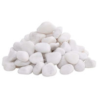 Produktbild von vidaXL Polierte Flusskiesel Weiß 25 kg 2-5cm für Aquarium und Garten Dekoration