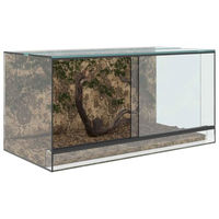 Produktbild von vidaXL Terrarium aus Glas Transparent 80 x 40 x 40 cm für Reptilien und Amphibien