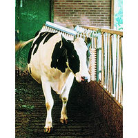 Produktbild von Vink Stallbürste aus Nylon mit Vollfederaufhängung
