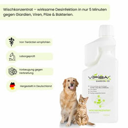 ViPiBaX Giardien EX Wischkonzentrat 5 l – Bild 1 von 2