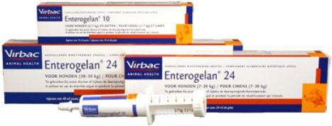 Virbac Enterogelan Paste zur Unterstützung der Magen-Darm-Verdauung 10 ml – Bild 1 von 2