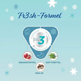 Virbac VeggieDent Zahnpflege-Snack für kleine Hunde Mini Vegan und Glutenfrei 2 x 120 g - 15 x 120 g – Bild 1 von 2