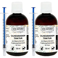 Produktbild von VITA NATURA Ulmenrinde Tinktur Tropfen zur Magen-Darm-Unterstützung 100 ml
