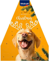 Vitakraft Adventskalender 2025 für Hunde mit Snacks ohne Zucker für alle Altersstufen 244g – Bild 1 von 13
