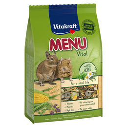 Vitakraft Degus Hauptfutter Zuckerfrei 600 g - 600 g – Bild 1 von 2