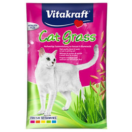 Produktbild von Vitakraft Katzengras Saatenbeutel für Katzen zur Unterstützung von Magen und Darm gegen Haarballen 50 g - 20 x 50 g