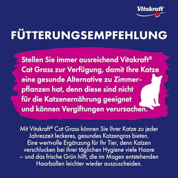 Vitakraft Katzengras Saatenmischung zur Verdauungshilfe für Katzen 120g - 120 g – Bild 1 von 4