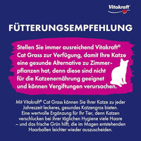 Produktbild von Vitakraft Katzengras Saatenmischung zur Verdauungshilfe für Katzen 120g - 120 g