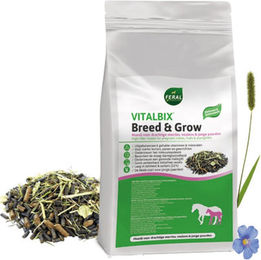 Vitalbix Breed & Grow Junior Ergänzungsfutter für Fohlen und Zucht 20 kg – Bild 1 von 2