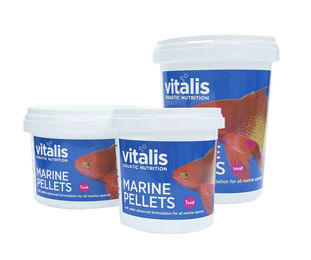 Produktbild von Vitalis Marine Pellets Meerwasser Fischfutter 260g